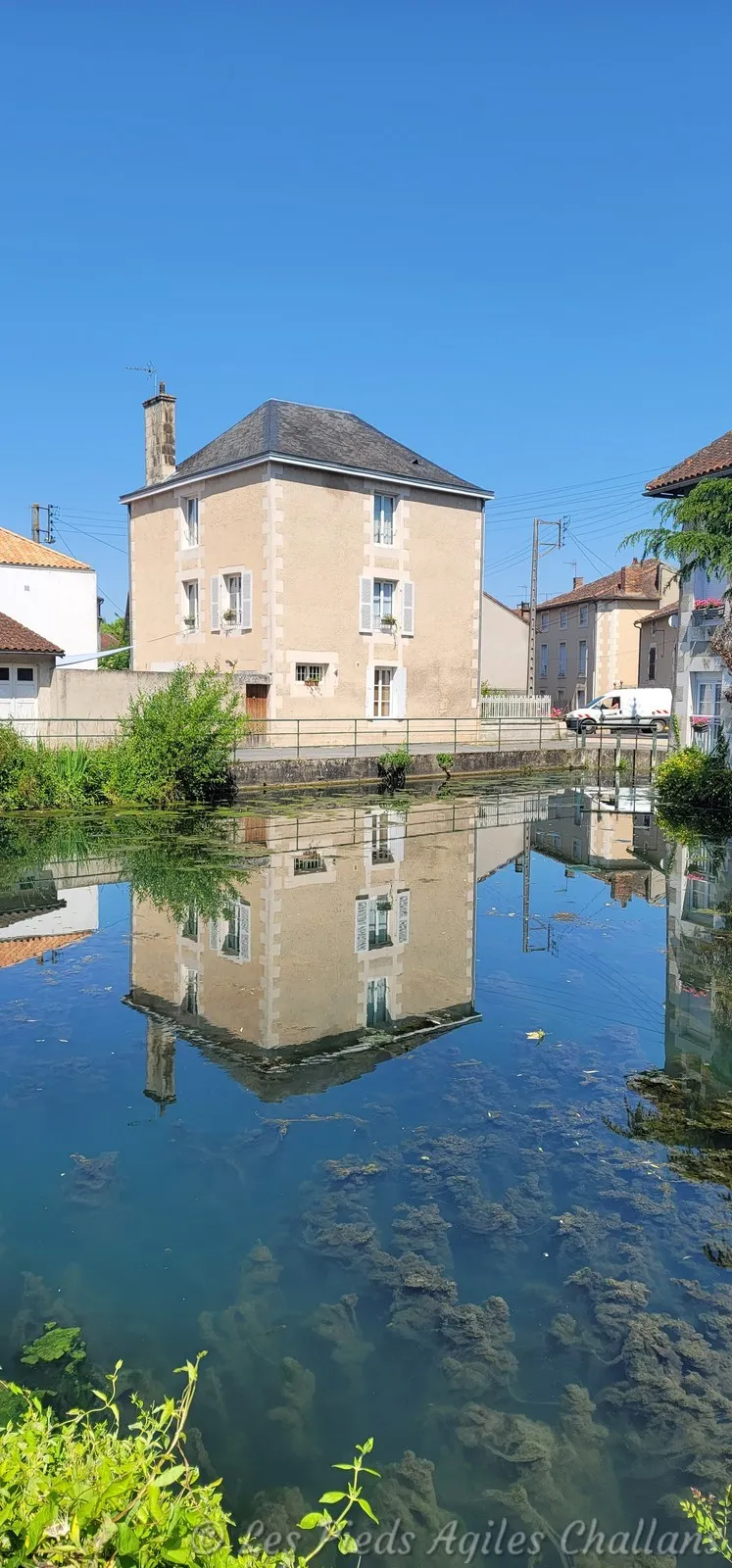 reflet
