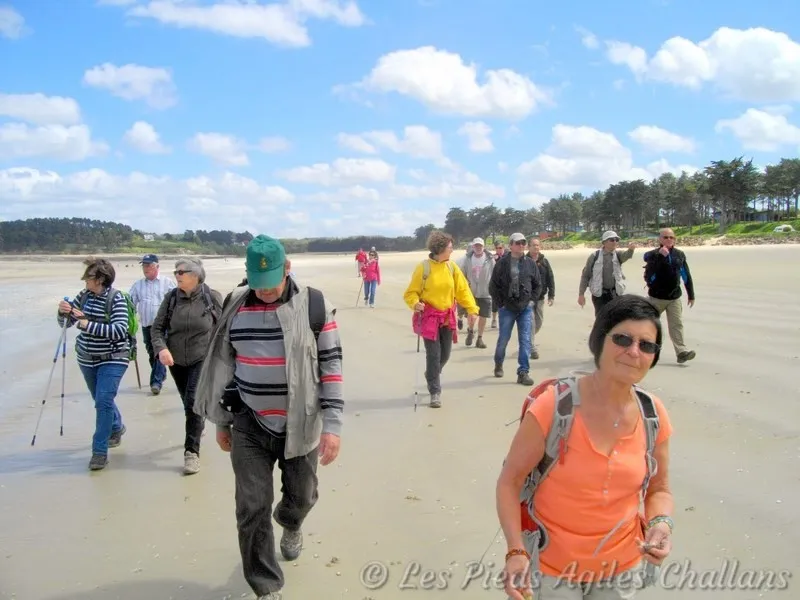 Untitled product