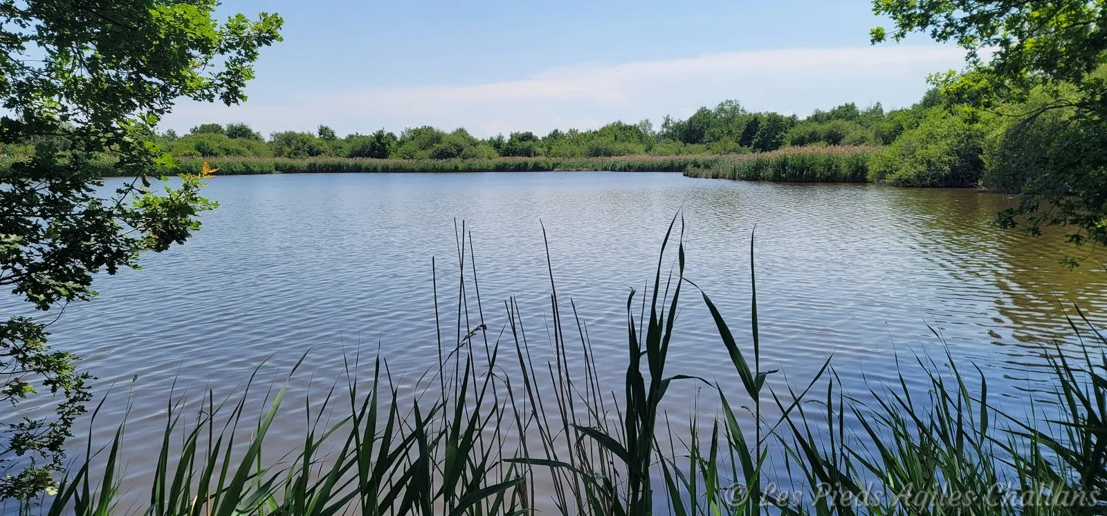 Certains en aurait bien profité pour prendre un bain